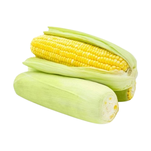 Jagung